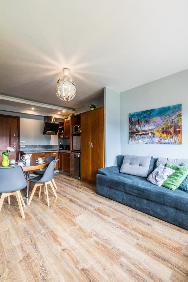Apartament Srebrzysty Tatary 扎科帕内 外观 照片
