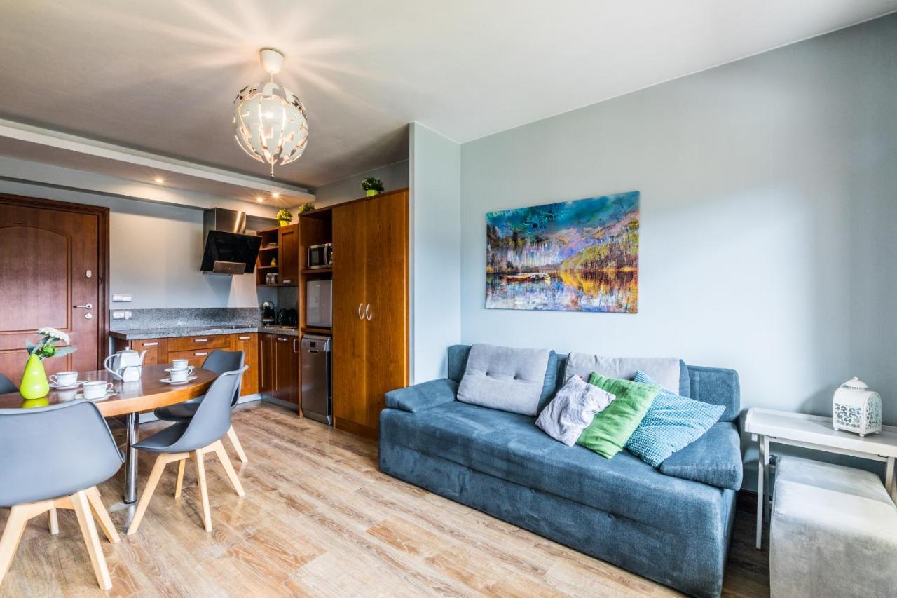 Apartament Srebrzysty Tatary 扎科帕内 外观 照片
