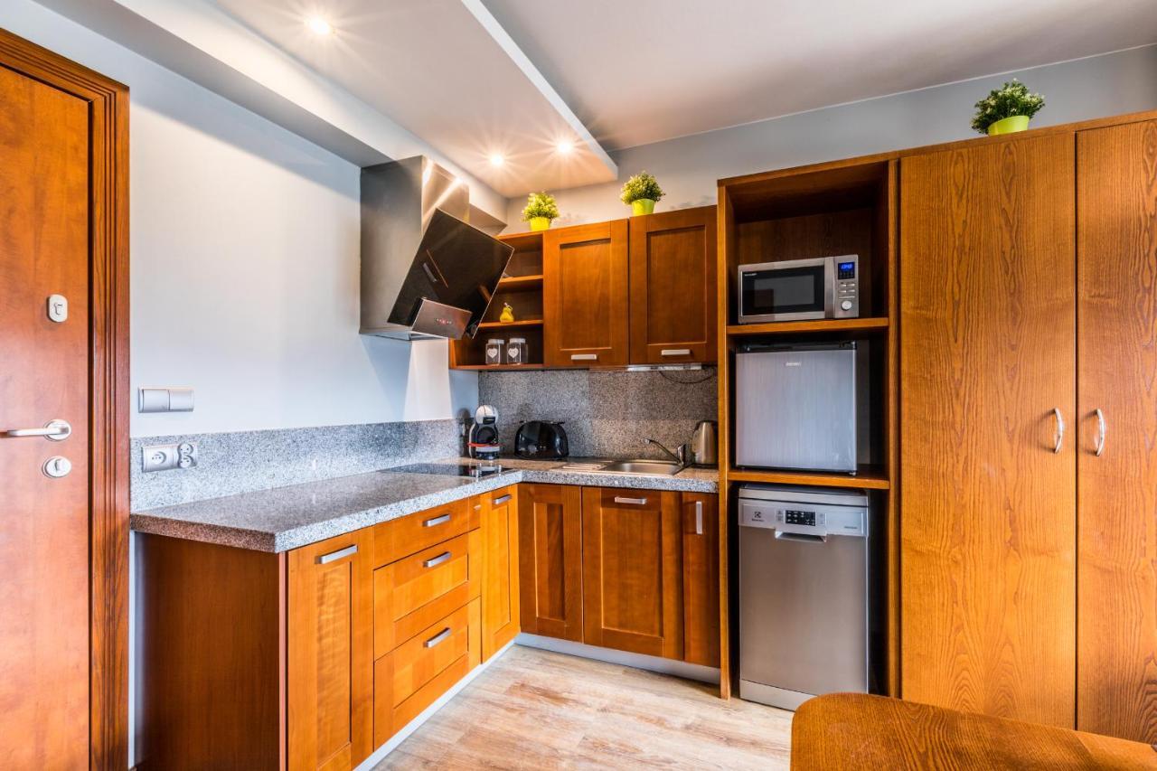 Apartament Srebrzysty Tatary 扎科帕内 外观 照片