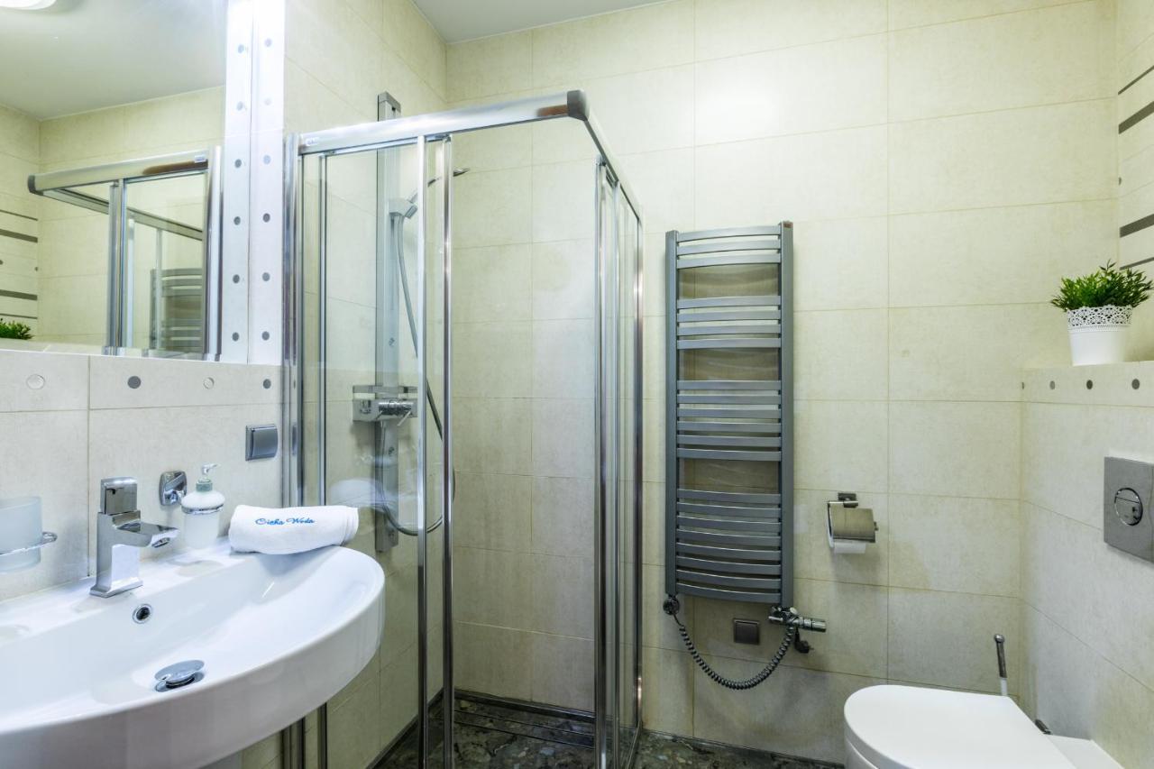 Apartament Srebrzysty Tatary 扎科帕内 外观 照片