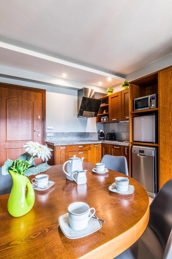 Apartament Srebrzysty Tatary 扎科帕内 外观 照片