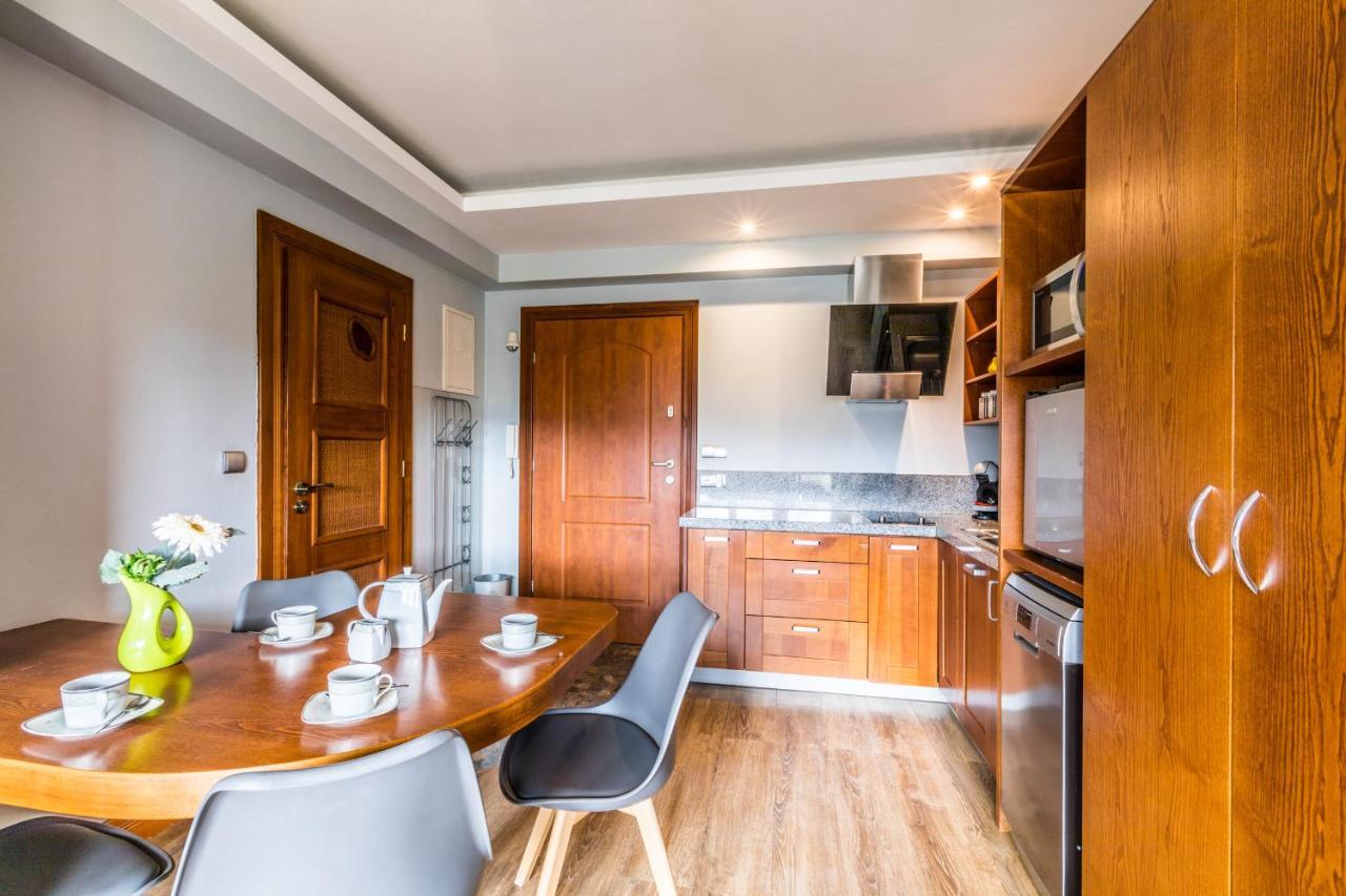 Apartament Srebrzysty Tatary 扎科帕内 外观 照片